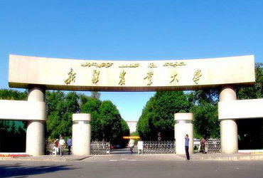 新疆农业大学校园美景